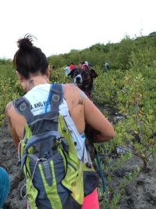 Elly still loves to hash, but has to be carried when she gets tired or the terrain is too taxing.